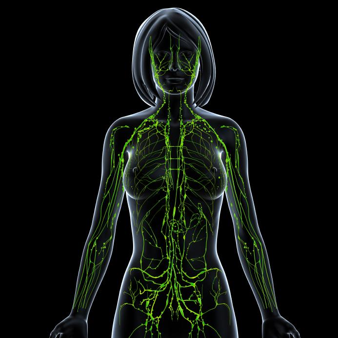 Healing Body Massage & Lympatic Therapy Chicago